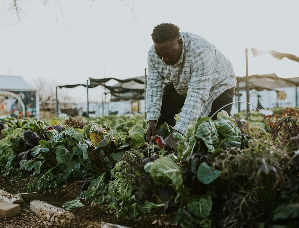 Farm Stand Fridays 2