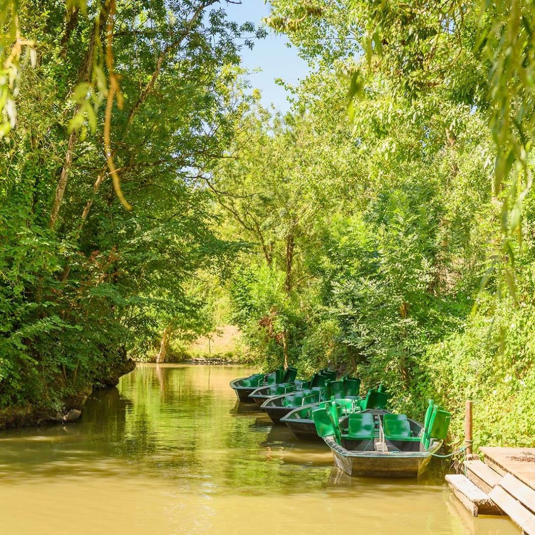 Original Vélo Tour - Balades guidées et gourmandes à vélo dans le Marais poitevin et ses alentours 3
