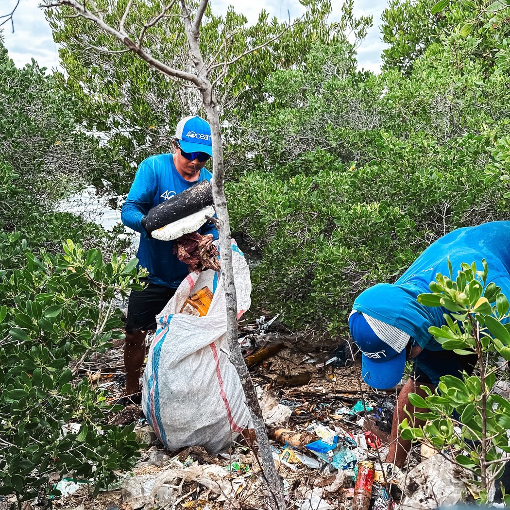 Watson Island Mangrove Cleanup 1