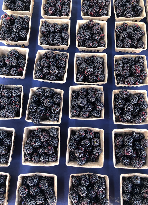 North Beach Farmers Market 2