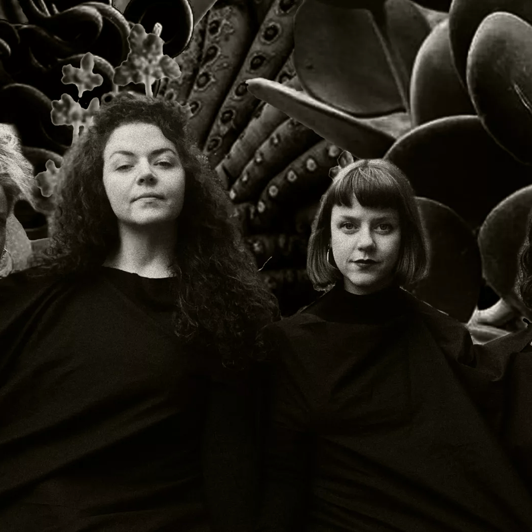 Landless + Milkweed + Deep Triskell 1