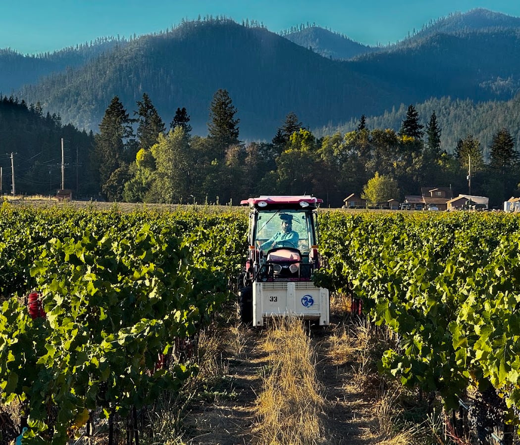 Troon Vineyard & Farm 2
