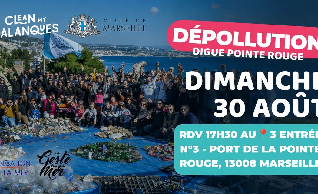 Dépollution de la digue de la Pointe Rouge