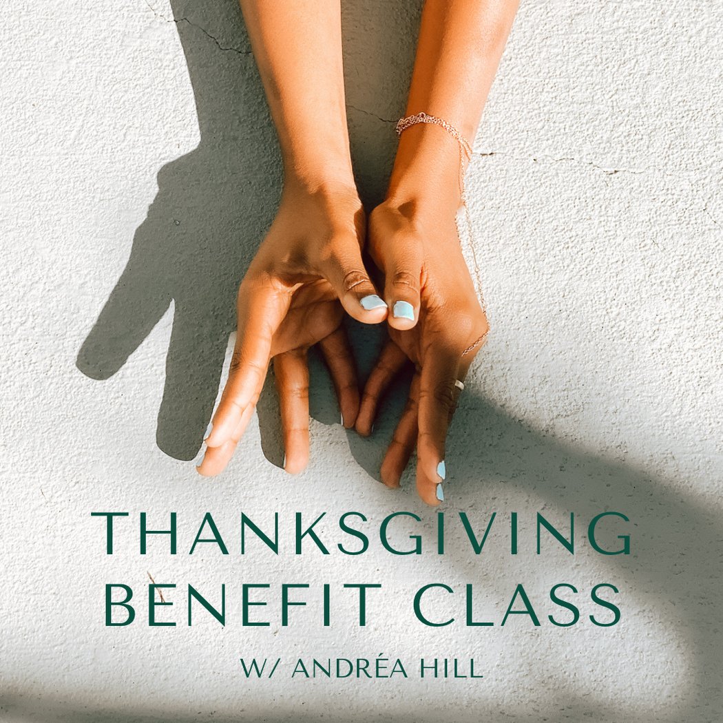 Thanksgiving Benefit Class with Andréa Hill 1