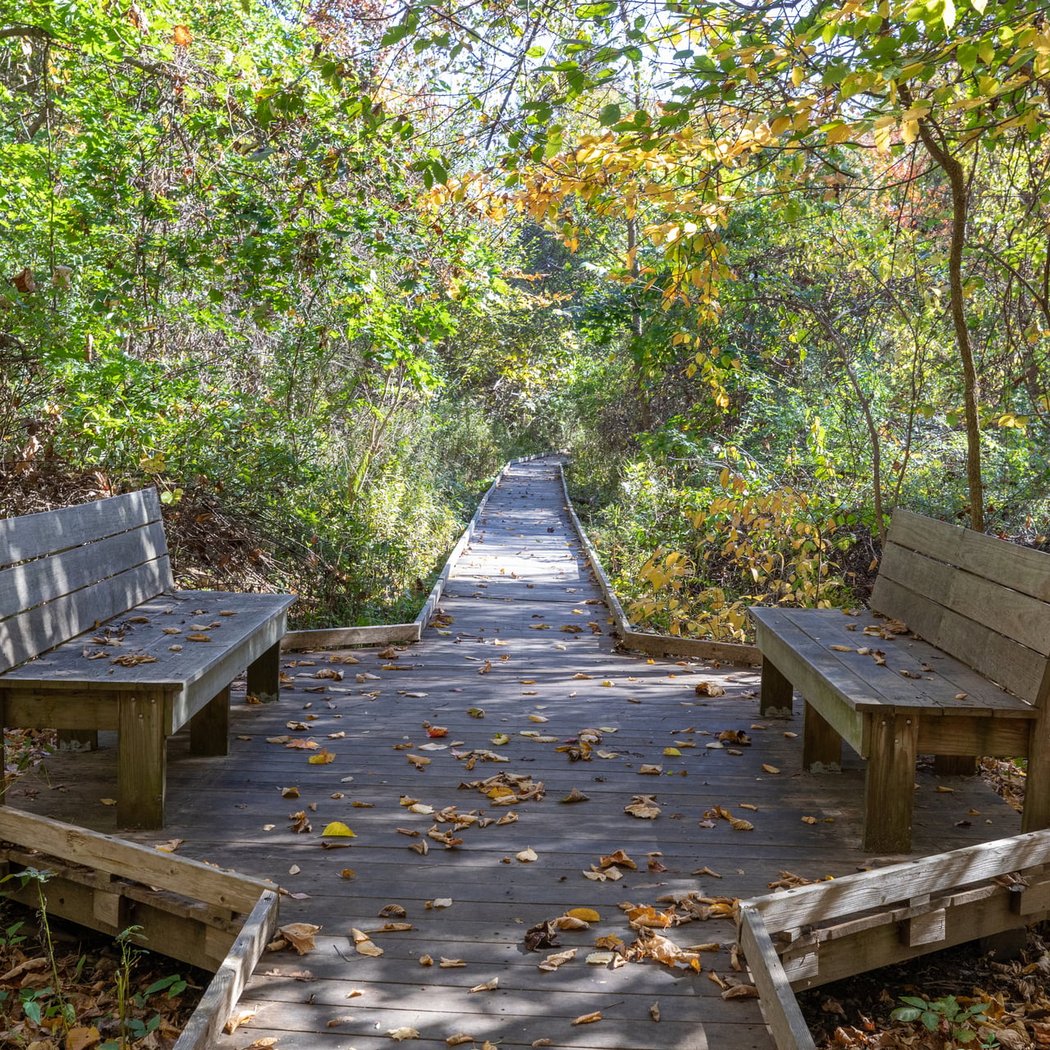 Mass Audubon's Broad Meadow Brook Conservation Center and Wildlife Sanctuary 2