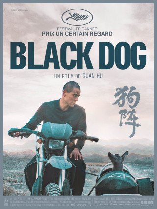 BLACK DOG 1