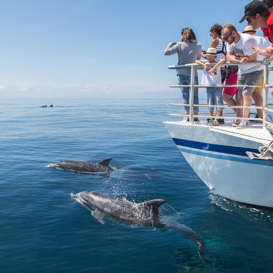 Explore Océan 🐬 - Catamaran Atalaya 1