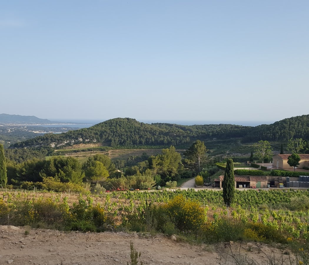 Château de Pibarnon 3
