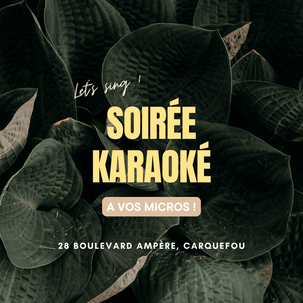 Soirée Karaoké 1