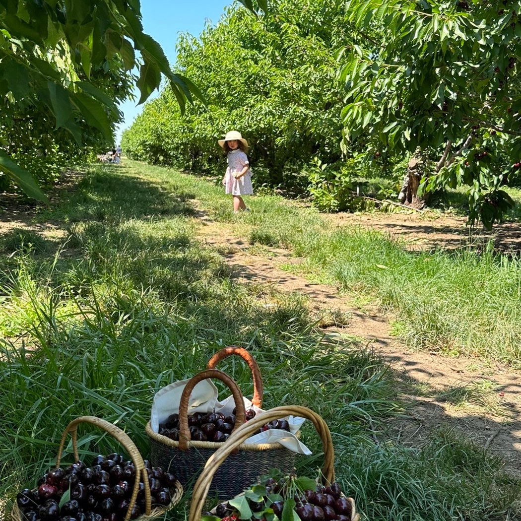Nunn Better Farms 1