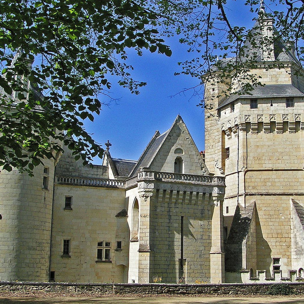 Château de Ternay 1