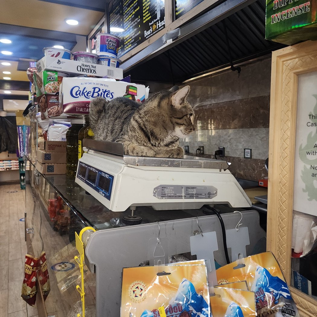 324 Brighton Beach Grocery 2