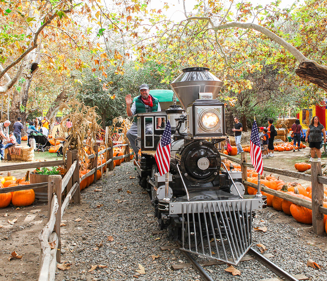 Pumpkin Patch 3