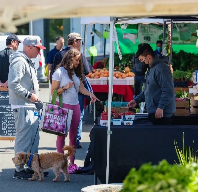 San Ramon Farmers Market 2