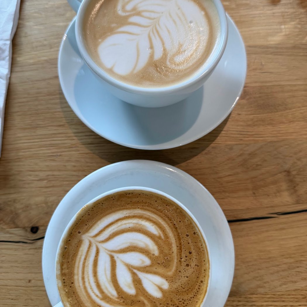 Fox in the Snow Cafe 3