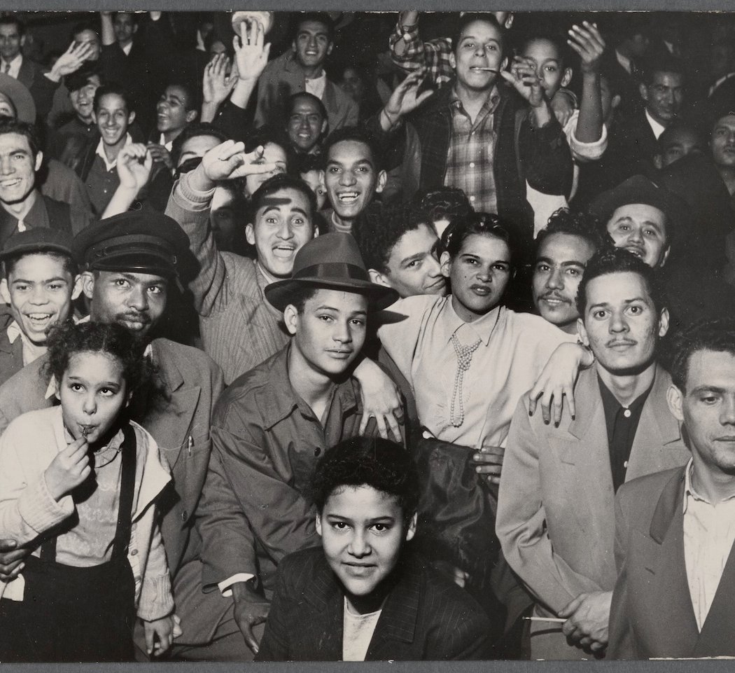 WHERE ROSES GROW: A Look At Rómulo Lachatañeré's Harlem 3