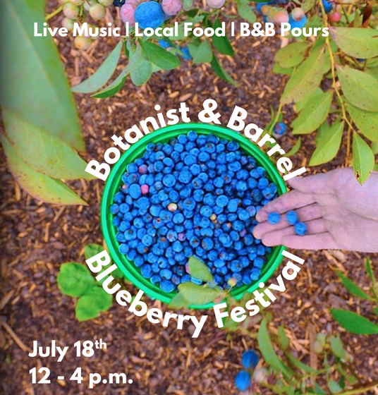 11th Annual Blueberry Fest 1