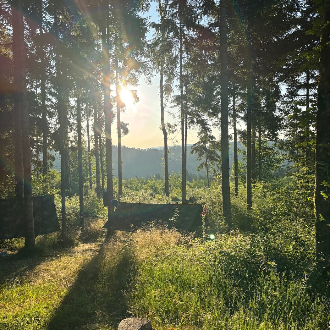 Vosges Aventure Survie 3