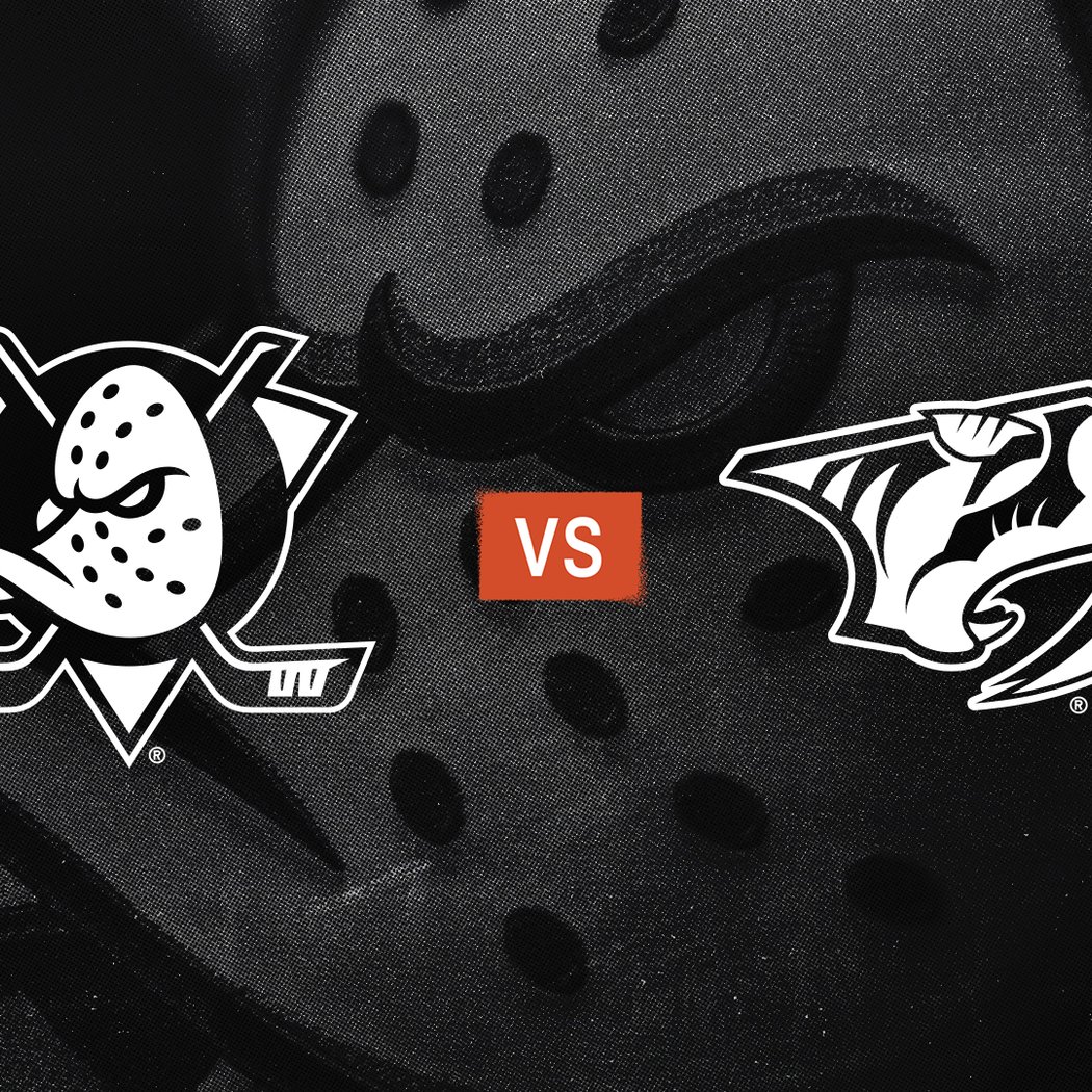 Ducks vs. Predators 1