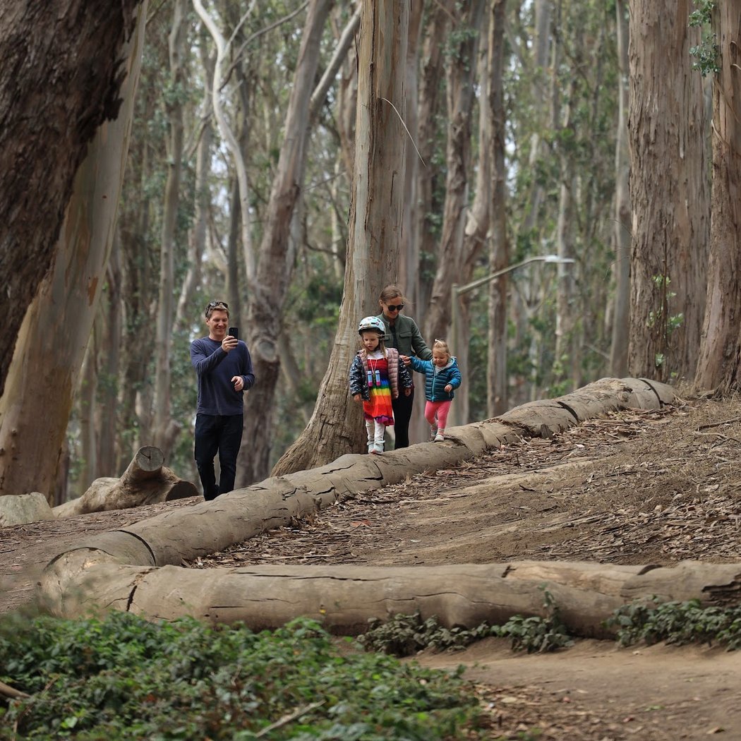 Lovers’ Lane at the Presidio 3