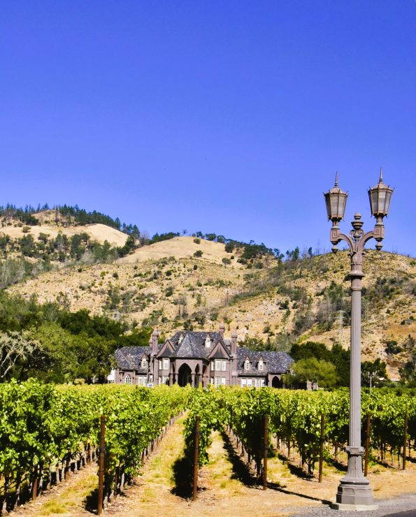 Ledson Winery & Vineyards 2