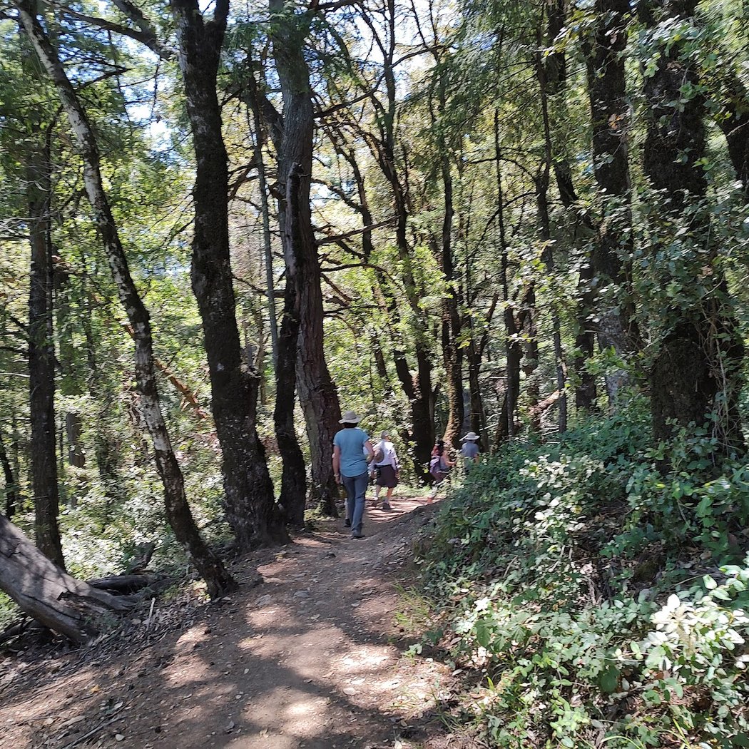 Saratoga Gap Open Space Preserve 2