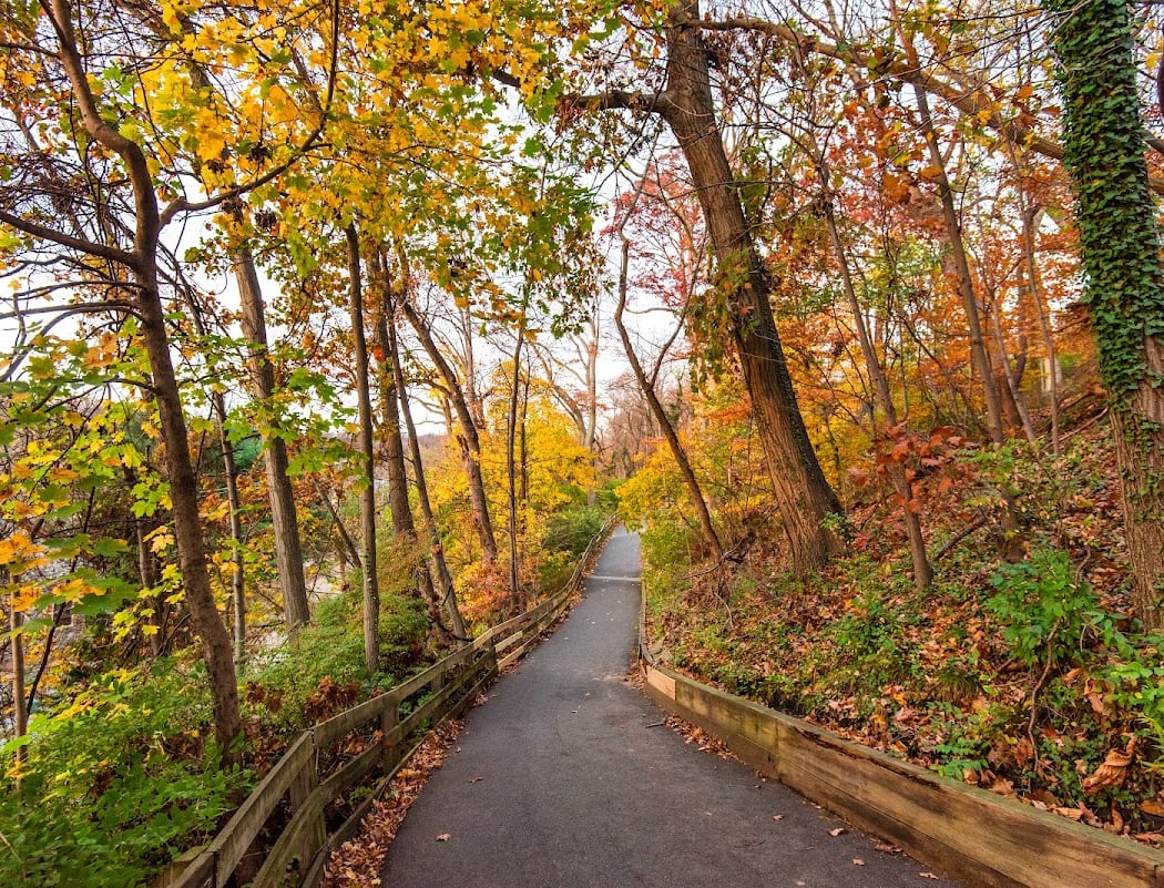 Alapocas Run State Park 1