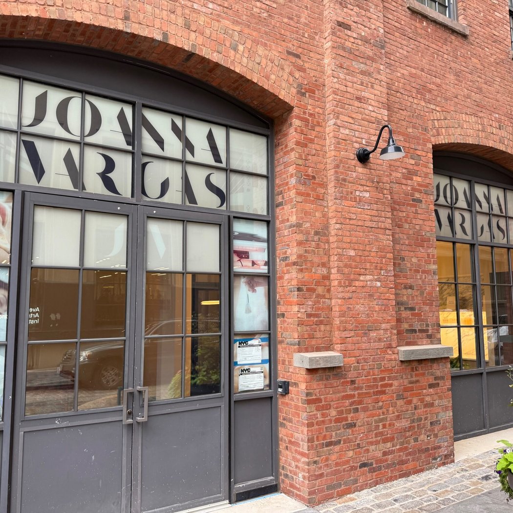 Joanna Vargas - Brooklyn 3