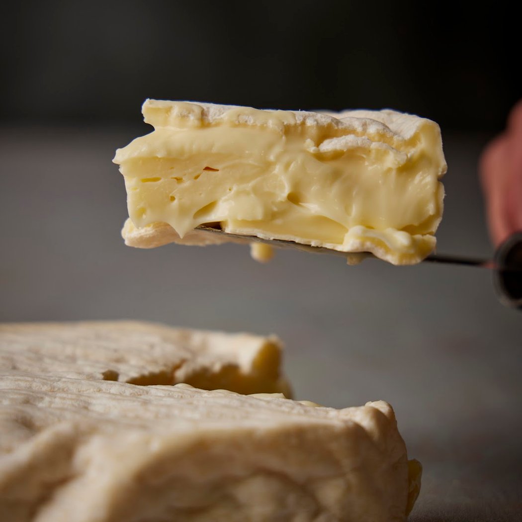 C. Hesse Cheese 101 Class 2