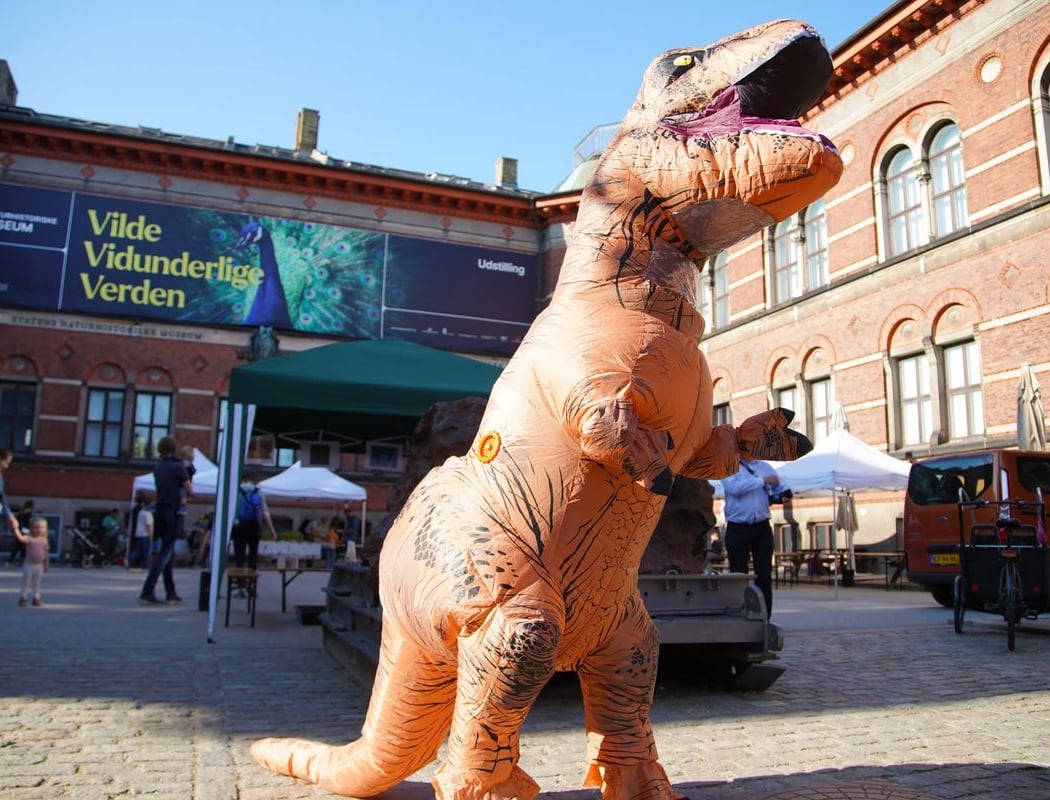 FossilFestival 3