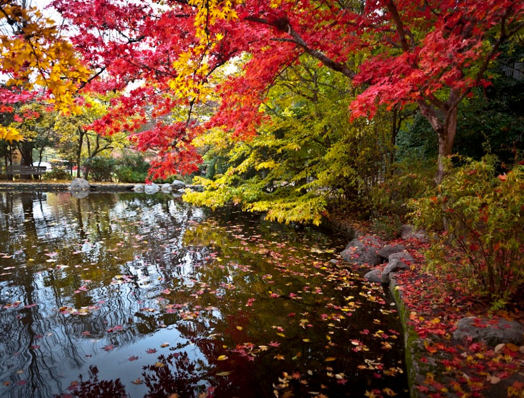 Lithia Park 2