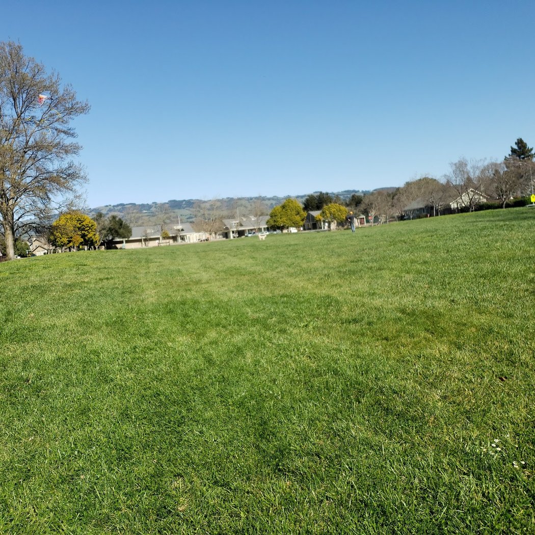 Meadow View 2
