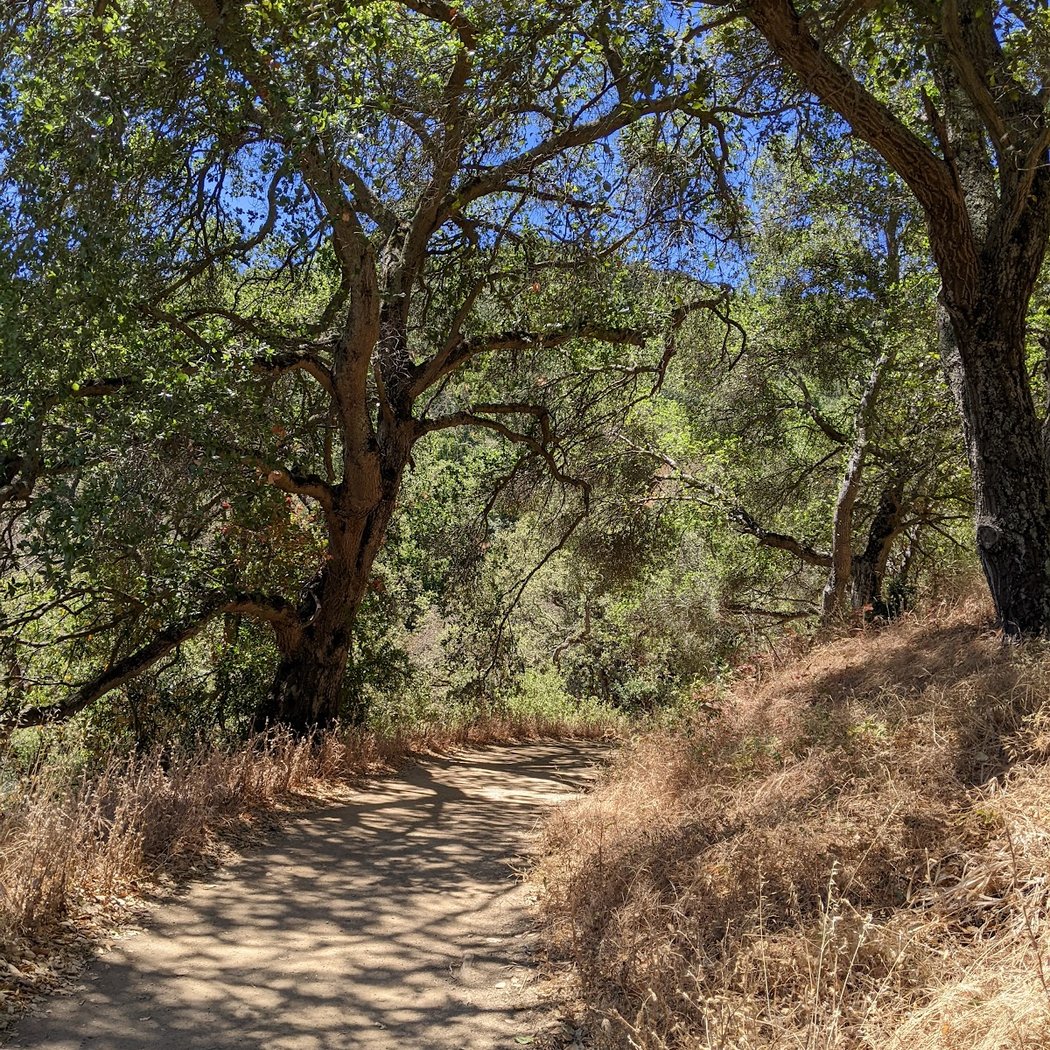 Five Canyons Open Space 2