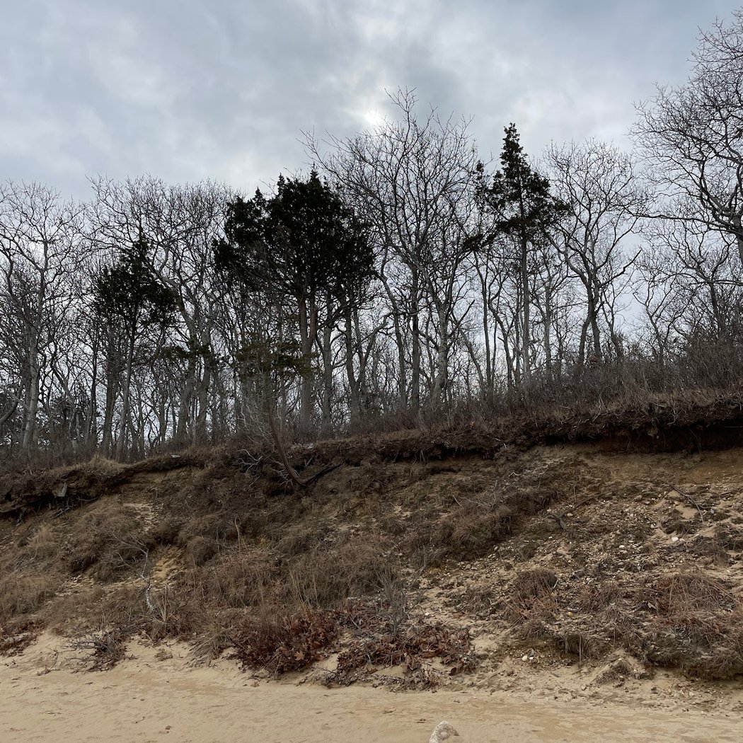 Linda Gronlund Memorial Nature Preserve 3