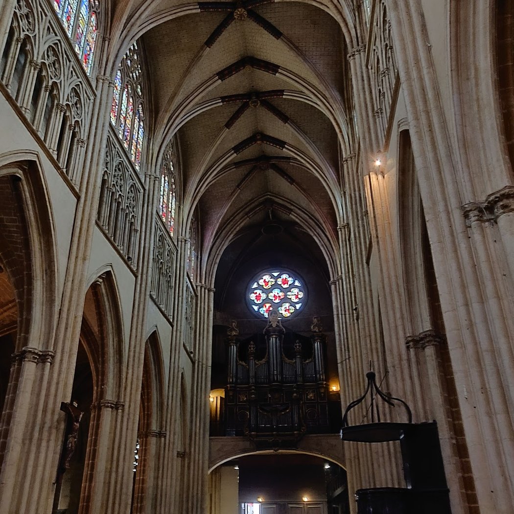 Solennité de l'Assomption 5