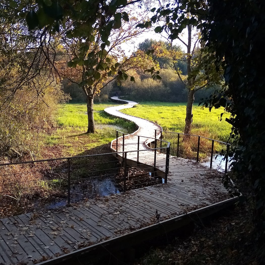 Passerelle de l'étang Hervé 1