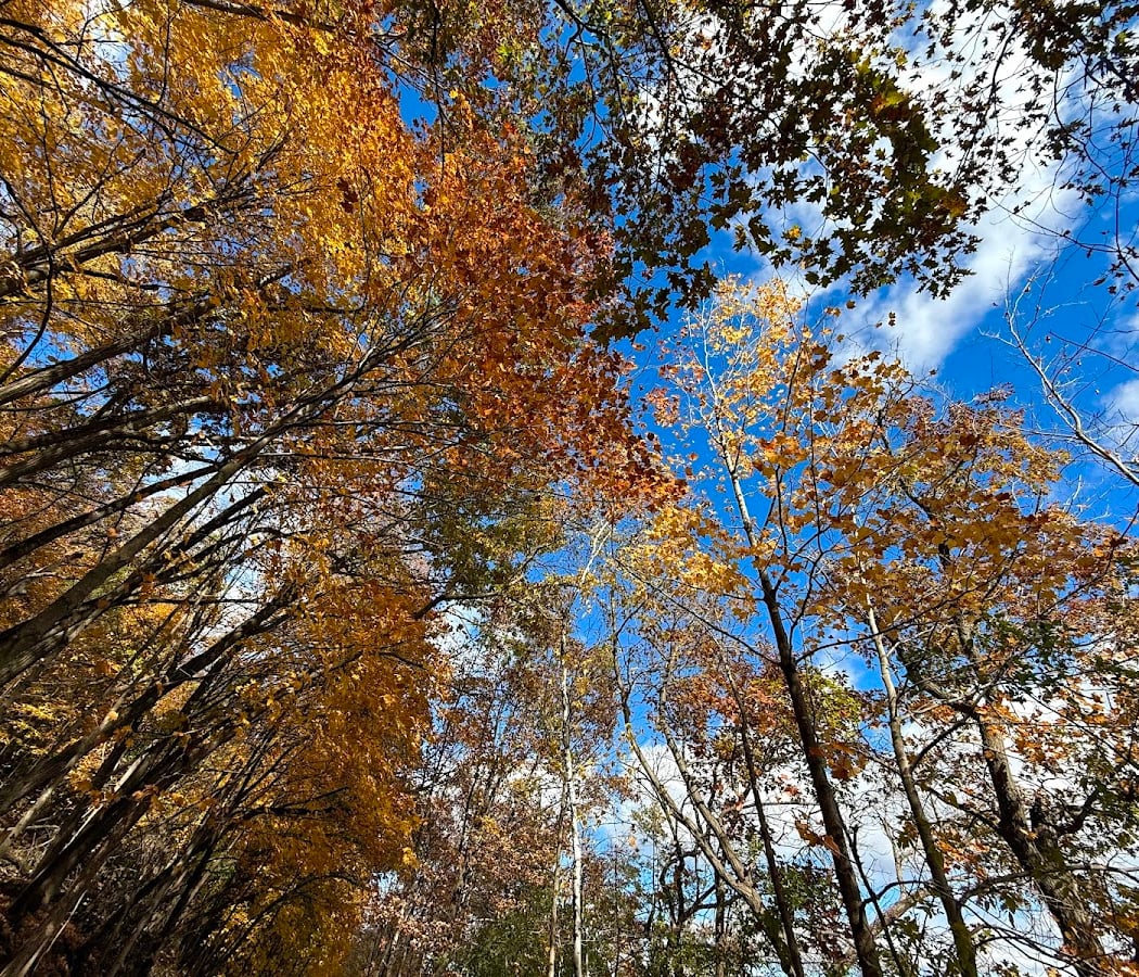 St. Croix Bluffs Regional Park 4