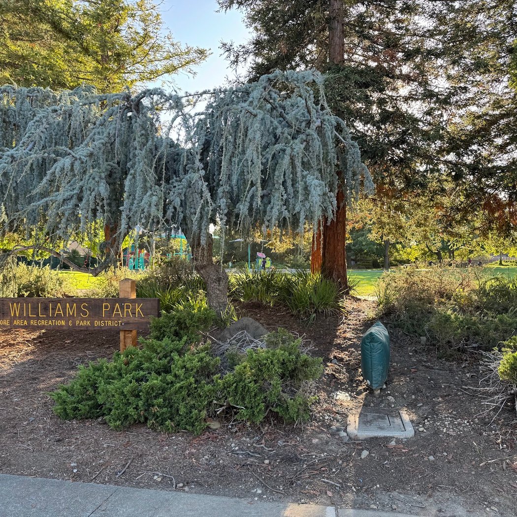 Jack Williams Neighborhood Park 2