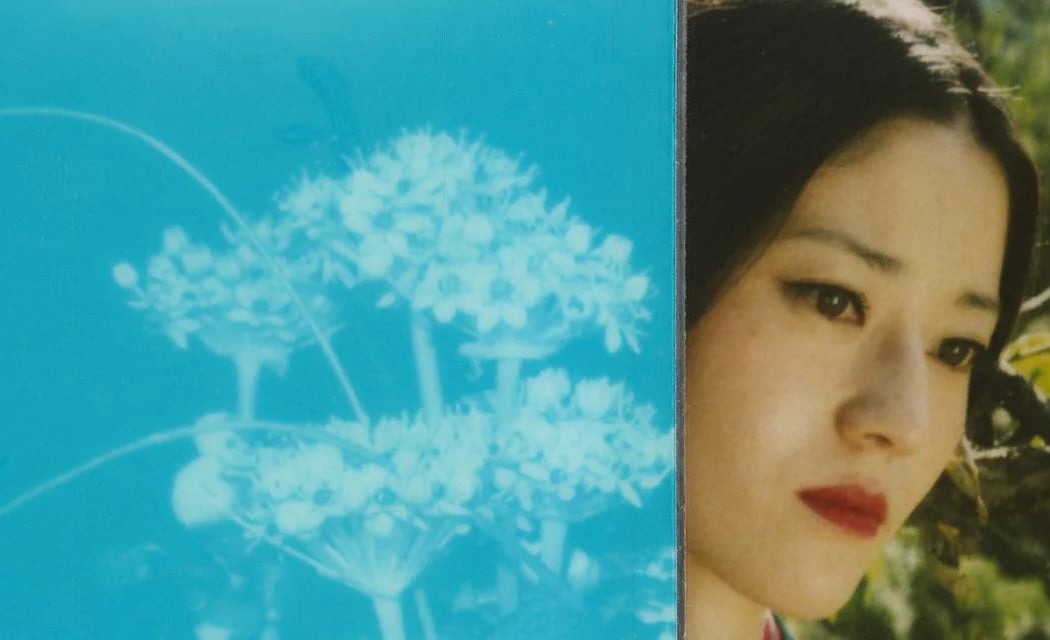 POLARAKI - Mille polaroids d’Araki Nobuyoshi 4