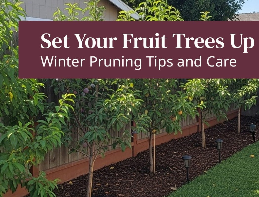 Winter Pruning Workshop 1