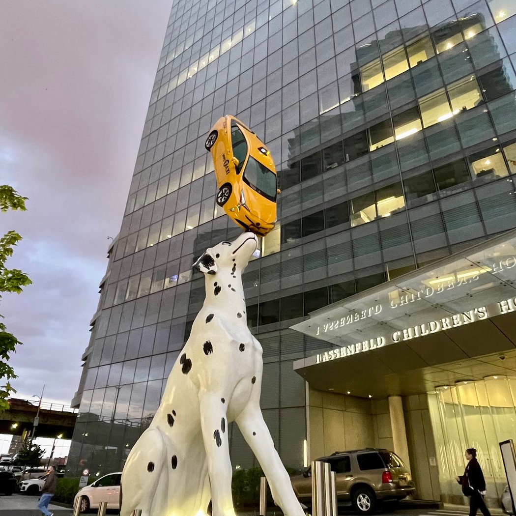 NYU Langone Health 2