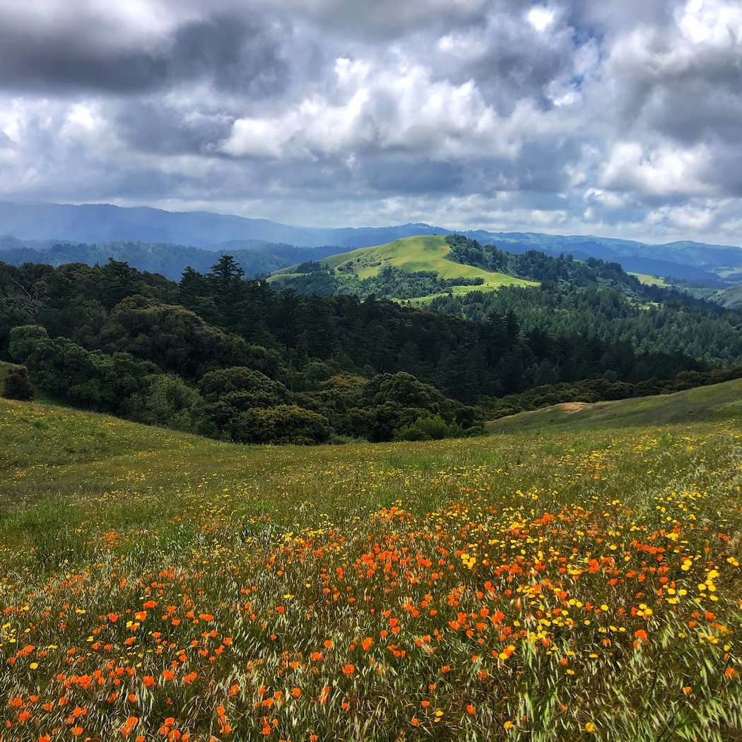 Russian Ridge 1