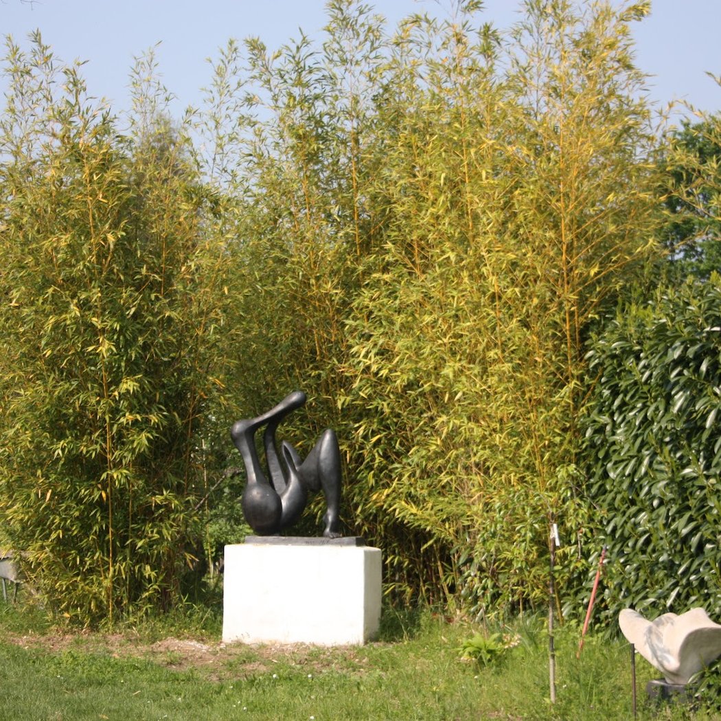 GALERIE ALFART-LBK 3