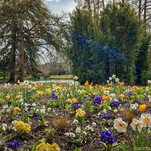 Jardin des Prébendes d'Oé 2