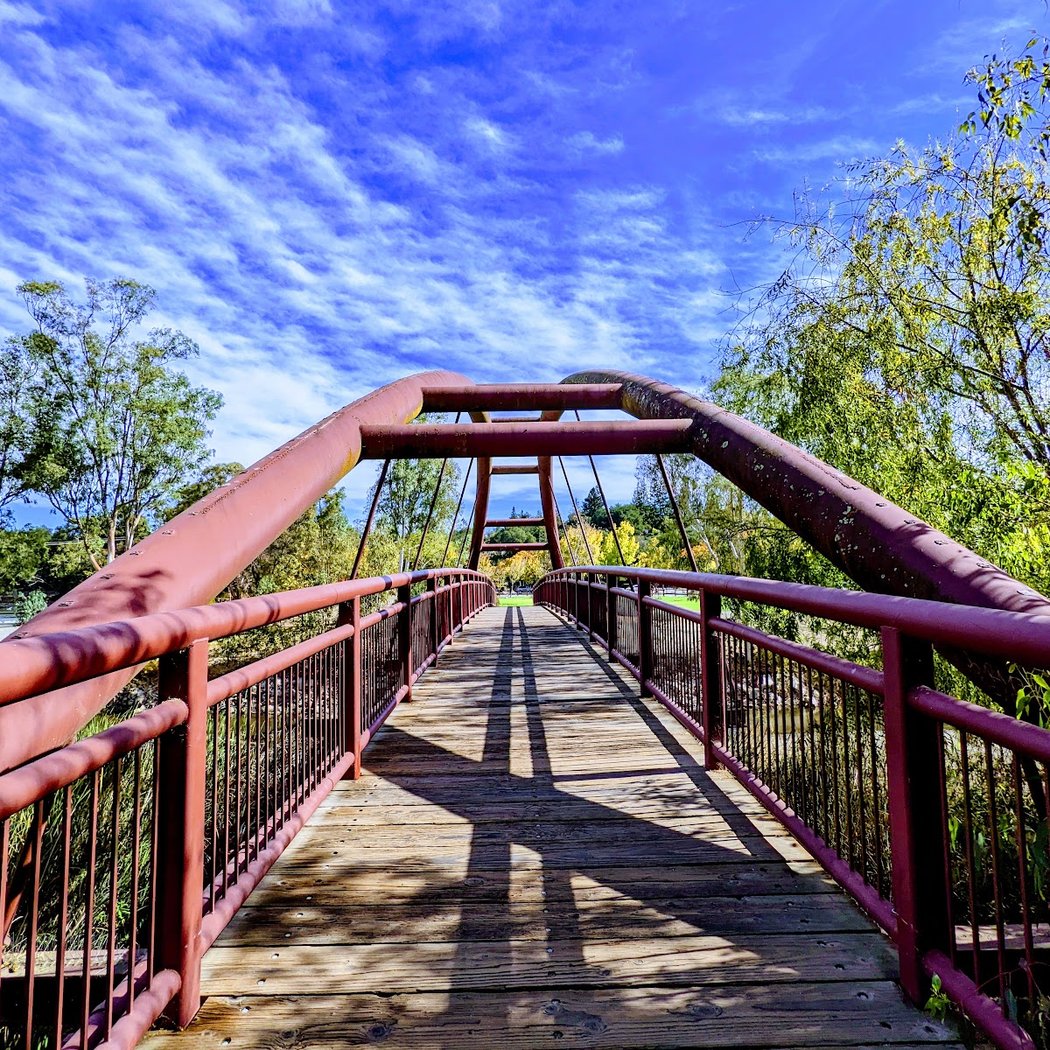 Birdwatching at Vasona County Park 4