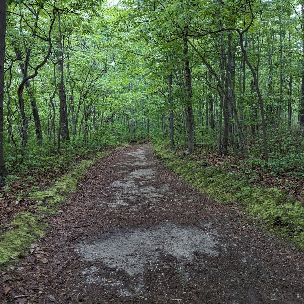 Blydenburgh County Park 2