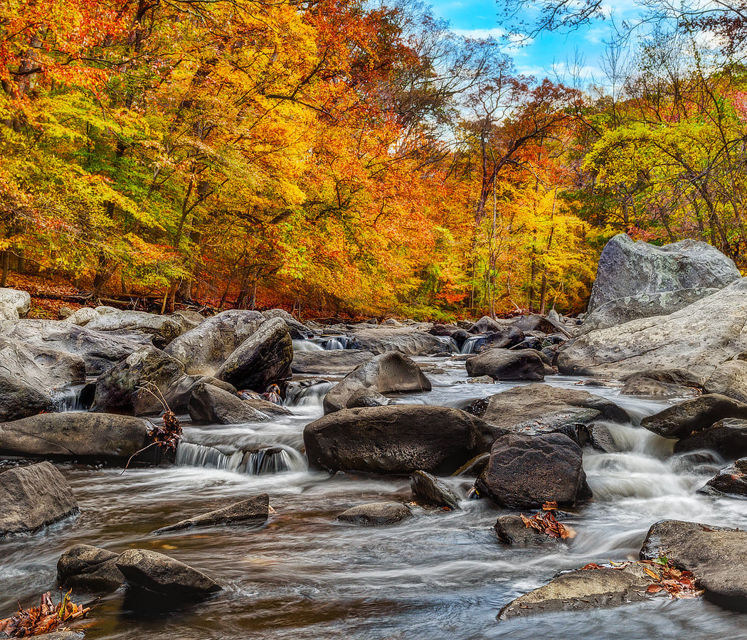 Rock Creek Park 1