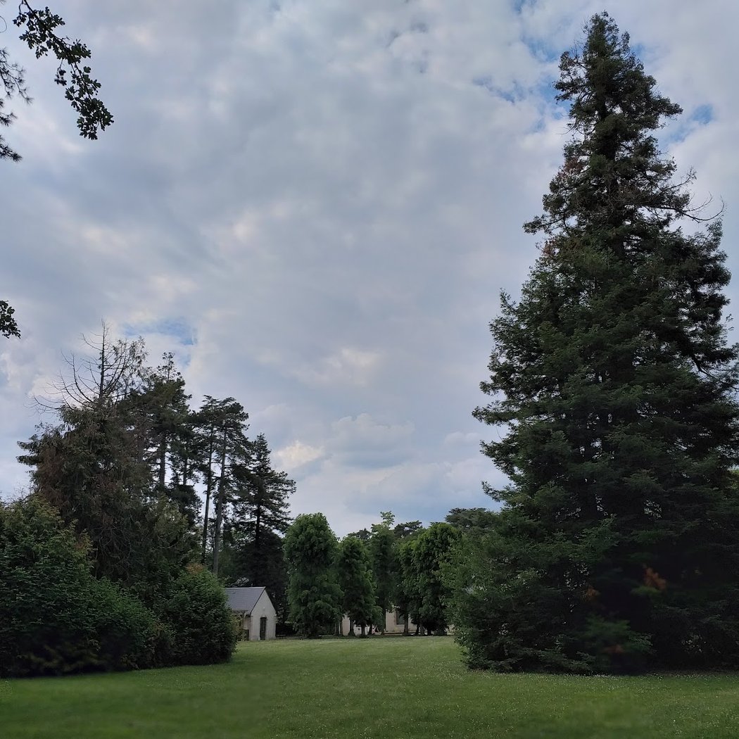 Guinguette du Parc 3