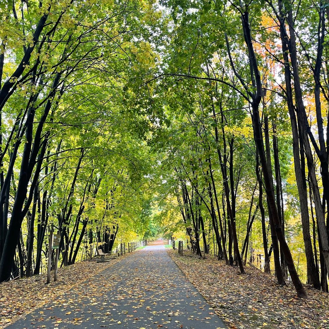 Rail Trail 1