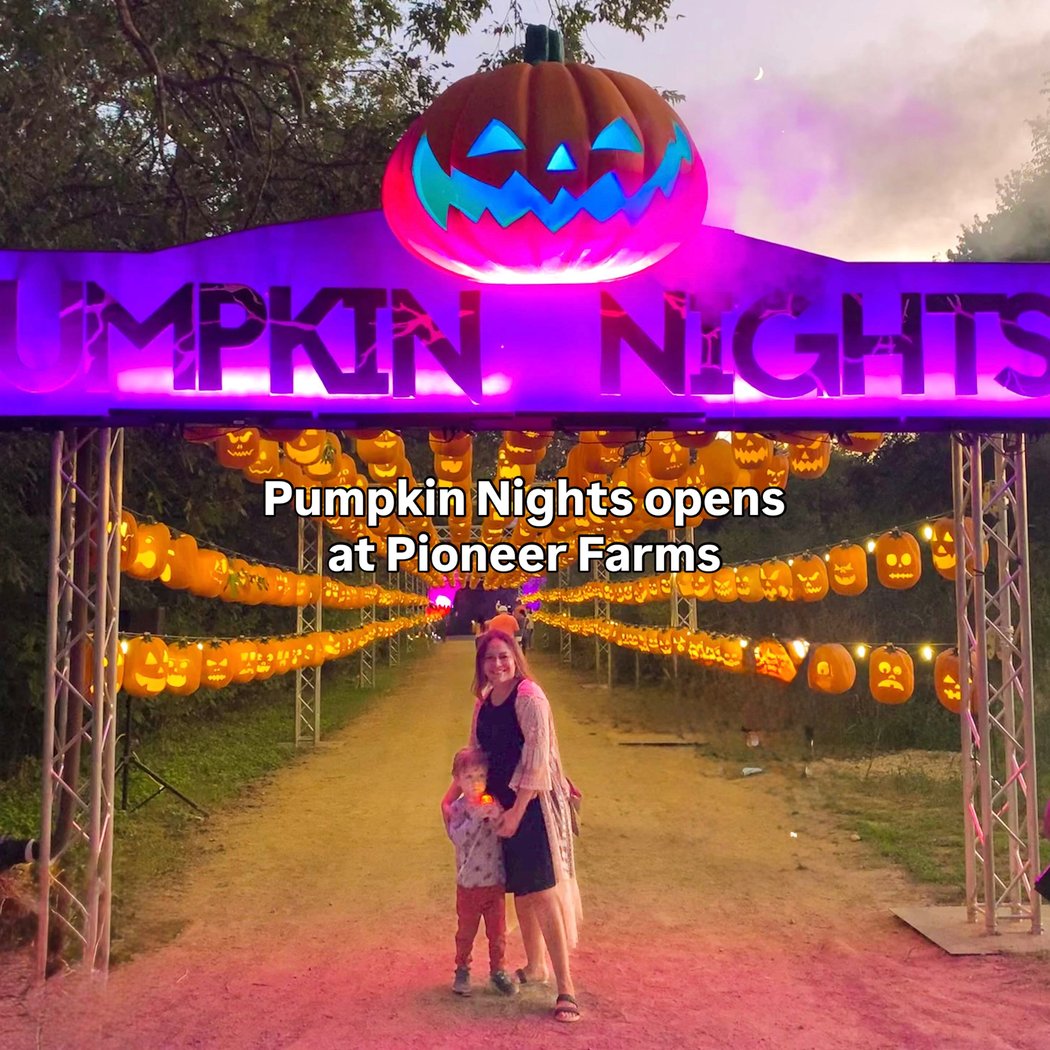 Pumpkin Nights 2